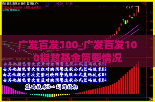 广发百发100_广发百发100指数基金简要情况  第1张