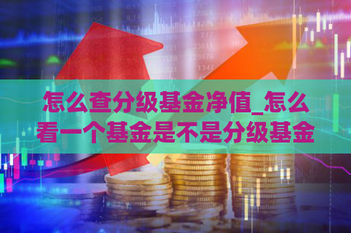 怎么查分级基金净值_怎么看一个基金是不是分级基金