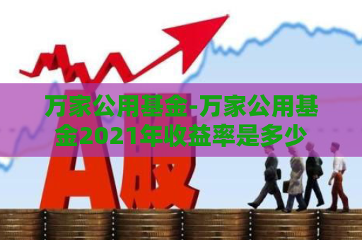 万家公用基金-万家公用基金2021年收益率是多少  第1张