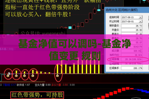 基金净值可以调吗-基金净值变更 规则  第1张