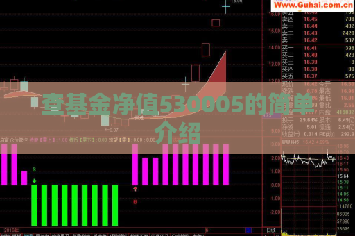 查基金净值530005的简单介绍  第1张