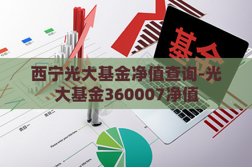 西宁光大基金净值查询-光大基金360007净值