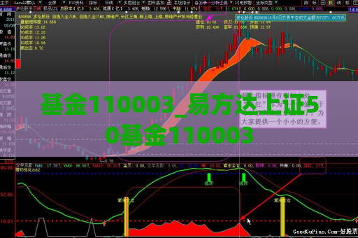 基金110003_易方达上证50基金110003