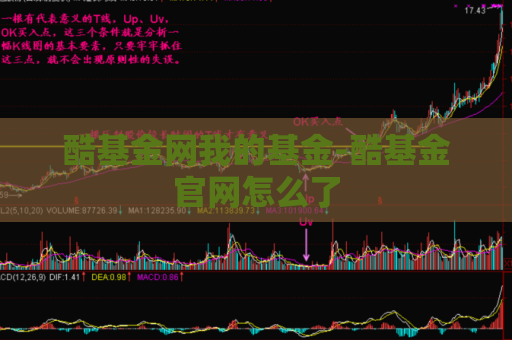 酷基金网我的基金-酷基金官网怎么了