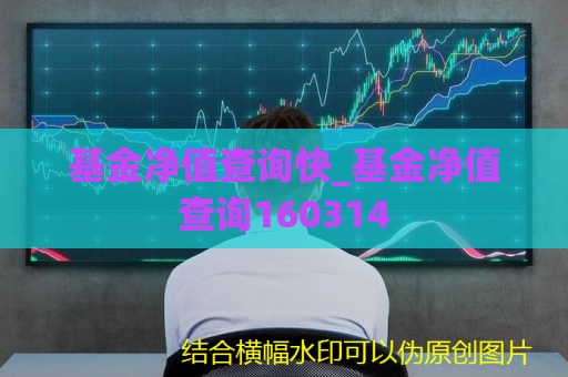 基金净值查询快_基金净值查询160314  第1张