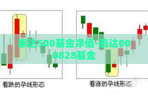 泰达500基金净值-泰达000828基金  第1张