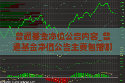 普通基金净值公告内容_普通基金净值公告主要包括哪些  第1张