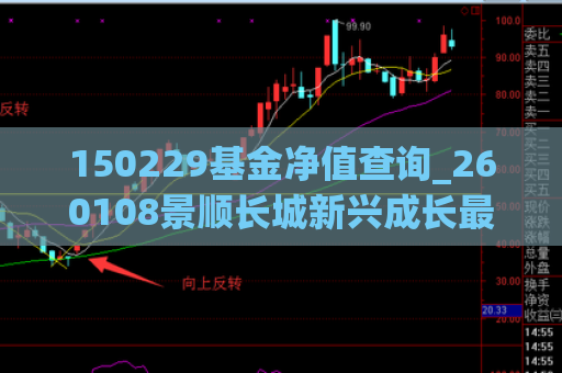 150229基金净值查询_260108景顺长城新兴成长最新净值