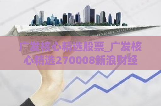 广发核心精选股票_广发核心精选270008新浪财经