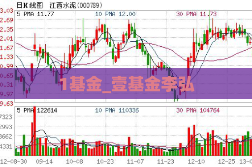 1基金_壹基金李弘  第1张