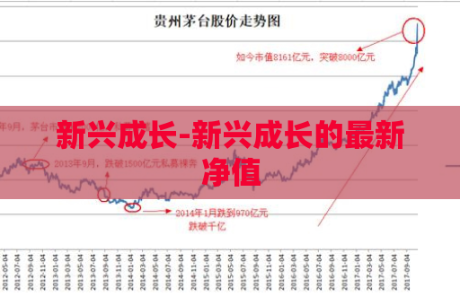 新兴成长-新兴成长的最新净值