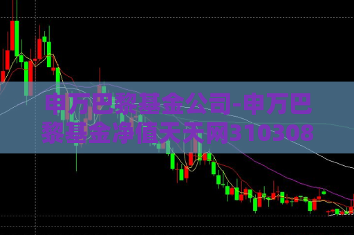 申万巴黎基金公司-申万巴黎基金净值天天网310308