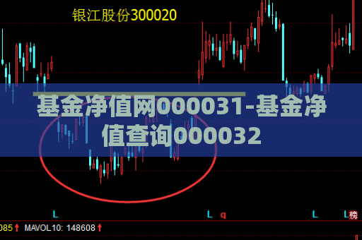 基金净值网000031-基金净值查询000032  第1张