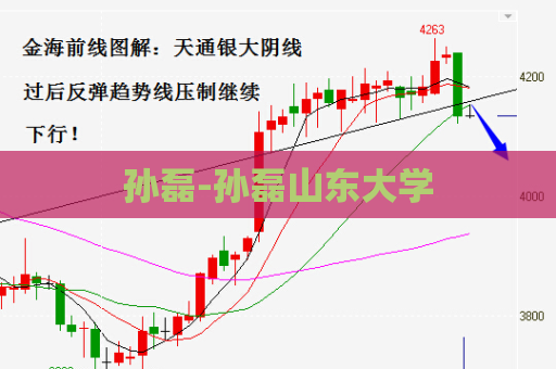 孙磊-孙磊山东大学  第1张