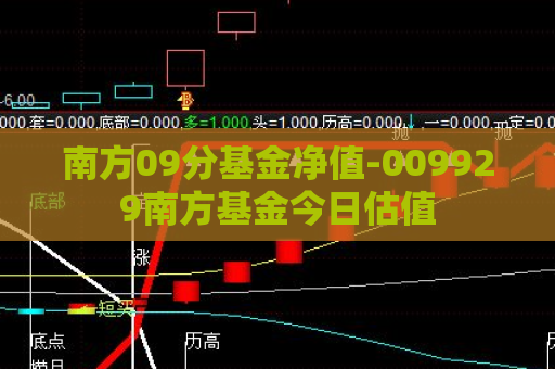 南方09分基金净值-009929南方基金今日估值