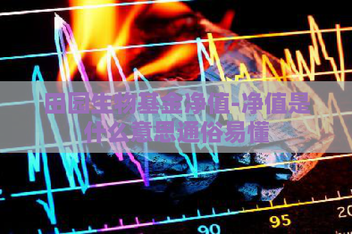 田园生物基金净值-净值是什么意思通俗易懂