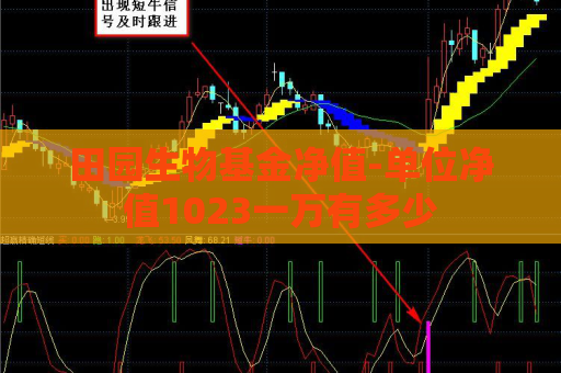 田园生物基金净值-单位净值1023一万有多少  第1张