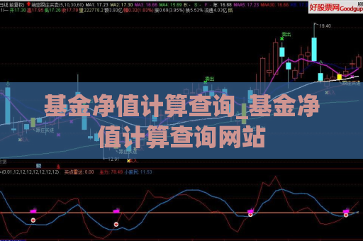 基金净值计算查询_基金净值计算查询网站  第1张