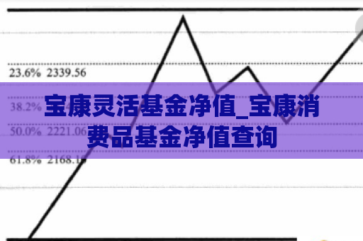 宝康灵活基金净值_宝康消费品基金净值查询  第1张