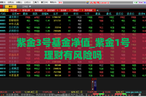 紫金3号基金净值_紫金1号理财有风险吗