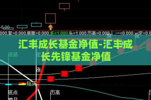 汇丰成长基金净值-汇丰成长先锋基金净值