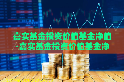 嘉实基金投资价值基金净值-嘉实基金投资价值基金净值是什么