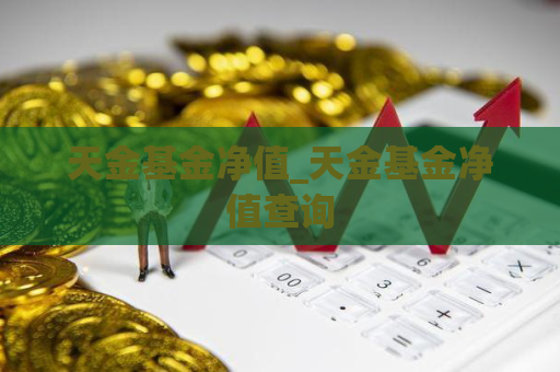 天金基金净值_天金基金净值查询