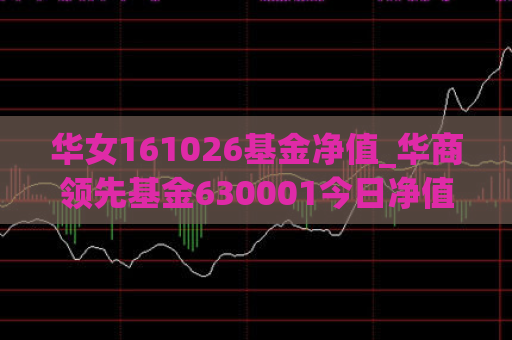 华女161026基金净值_华商领先基金630001今日净值