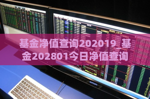 基金净值查询202019_基金202801今日净值查询  第1张