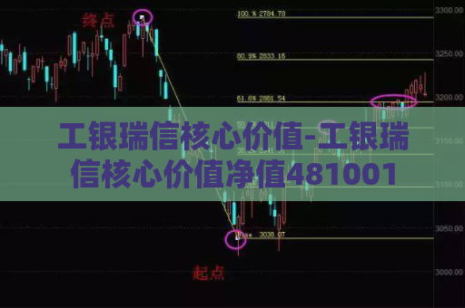 工银瑞信核心价值-工银瑞信核心价值净值481001  第1张