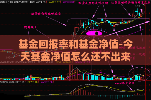 基金回报率和基金净值-今天基金净值怎么还不出来  第1张