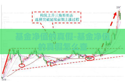 基金净值的真假-基金净值的真假怎么查  第1张