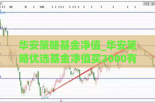 华安策略基金净值_华安策略优选基金净值买2000有多少收人  第1张