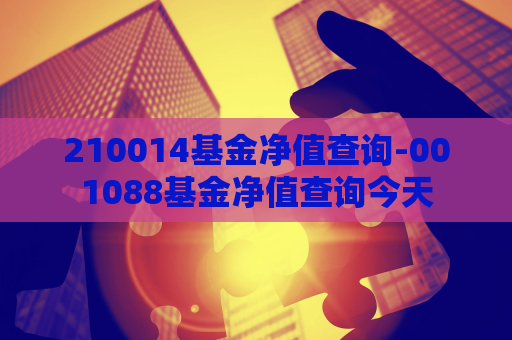 210014基金净值查询-001088基金净值查询今天