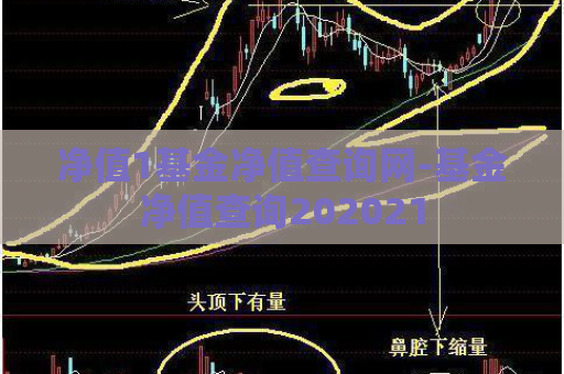 净值1基金净值查询网-基金净值查询202021  第1张