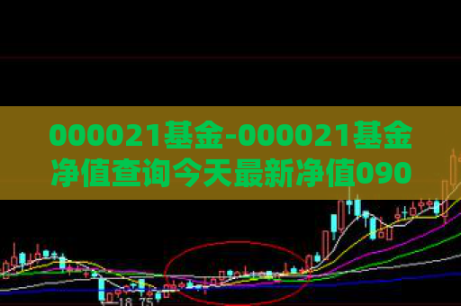 000021基金-000021基金净值查询今天最新净值090004