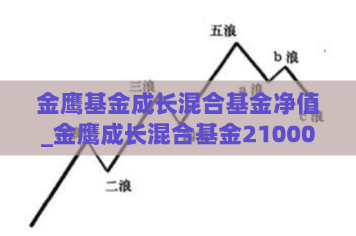 金鹰基金成长混合基金净值_金鹰成长混合基金210004估值  第1张