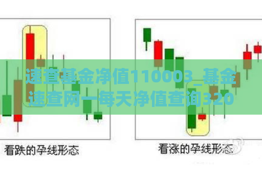 速查基金净值110003_基金速查网一每天净值查询320007