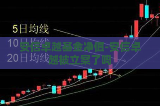 安信卓越基金净值-安信卓越被立案了吗  第1张