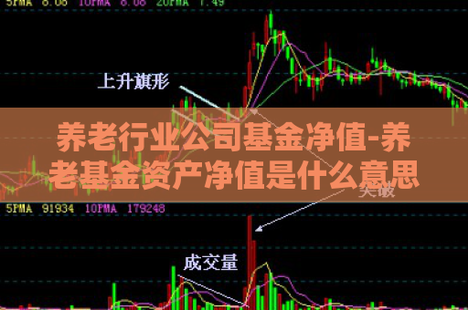 养老行业公司基金净值-养老基金资产净值是什么意思