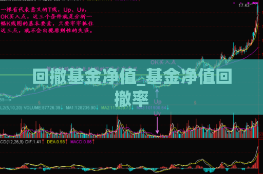 回撤基金净值_基金净值回撤率  第1张