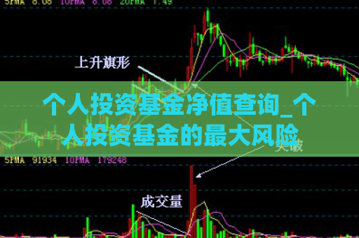 个人投资基金净值查询_个人投资基金的最大风险