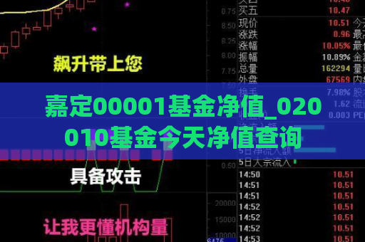 嘉定00001基金净值_020010基金今天净值查询