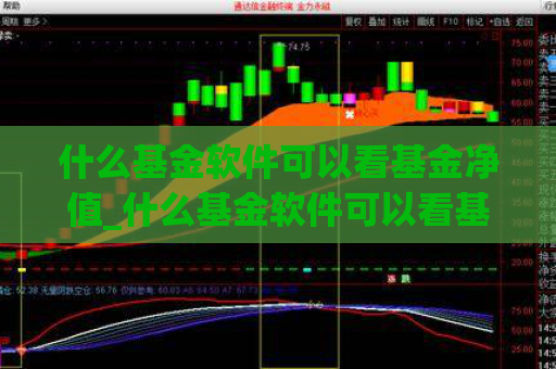什么基金软件可以看基金净值_什么基金软件可以看基金净值的  第1张