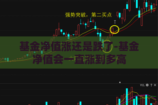 基金净值涨还是跌了-基金净值会一直涨到多高