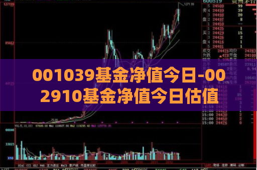 001039基金净值今日-002910基金净值今日估值  第1张