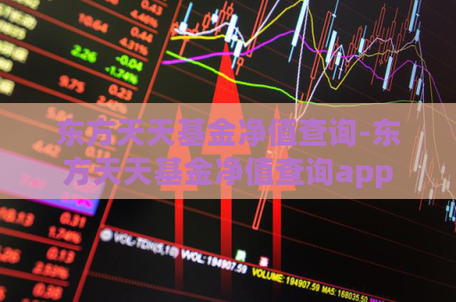 东方天天基金净值查询-东方天天基金净值查询app  第1张