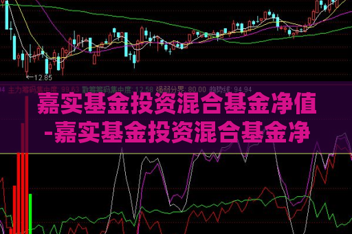 嘉实基金投资混合基金净值-嘉实基金投资混合基金净值多少