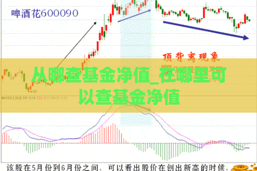 从哪查基金净值_在哪里可以查基金净值