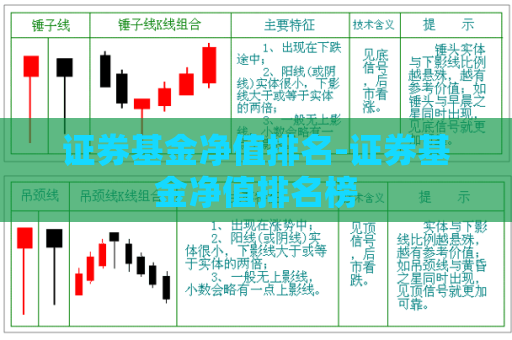 证券基金净值排名-证券基金净值排名榜